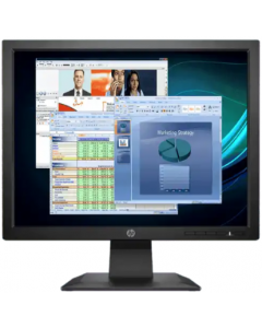 HP P174 17-inch Monitor